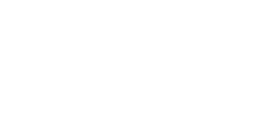 Insula